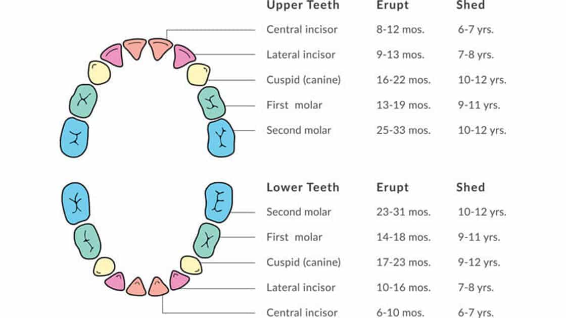 Viewed oral hygiene. Child to the dentist.